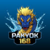 ประจานเว็บโกง PAKYOK168